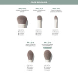 Brochas morphe 16 piezas