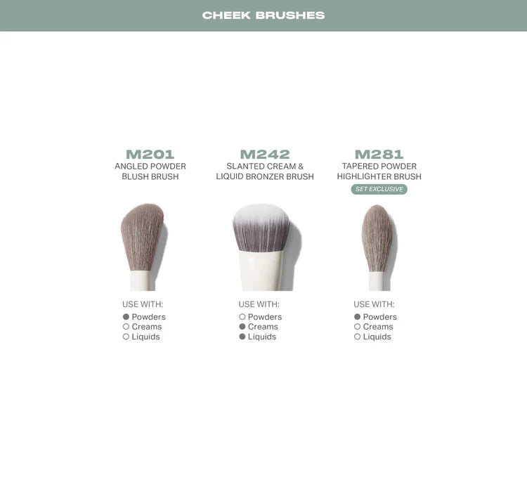 Brochas morphe 16 piezas